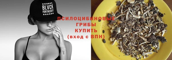 ГАЛЛЮЦИНОГЕННЫЕ ГРИБЫ Навашино