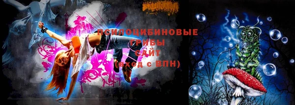 ГАЛЛЮЦИНОГЕННЫЕ ГРИБЫ Навашино