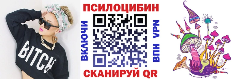 Псилоцибиновые грибы прущие грибы  Ярославль 