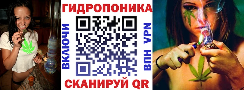 блэк спрут зеркало цены Ярославль Шишки марихуана конопля